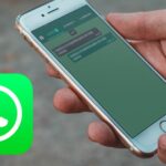 Cambia el color en WhatsApp: guía fácil y rápida
